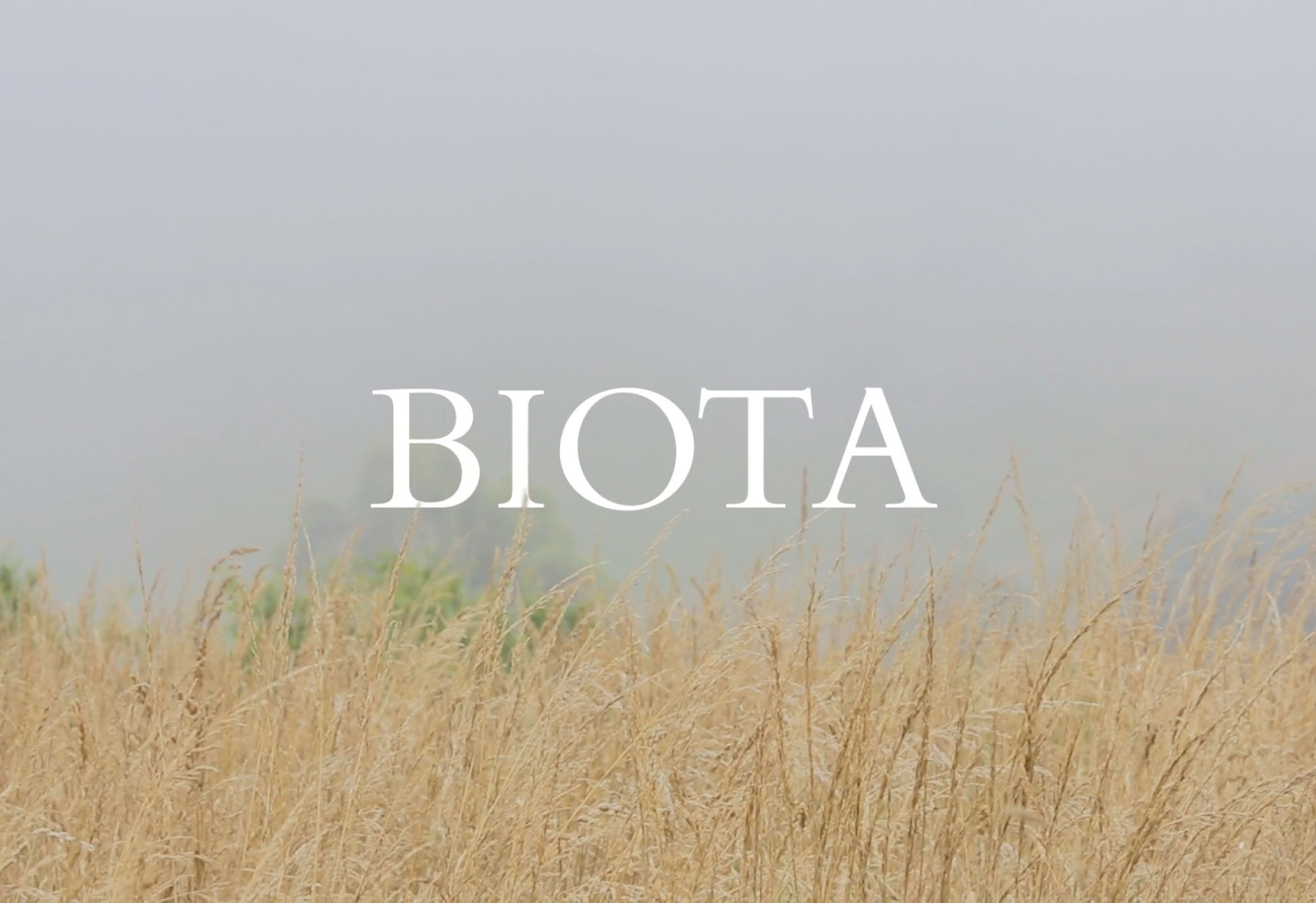 BIOTA RESTAURANT FILM