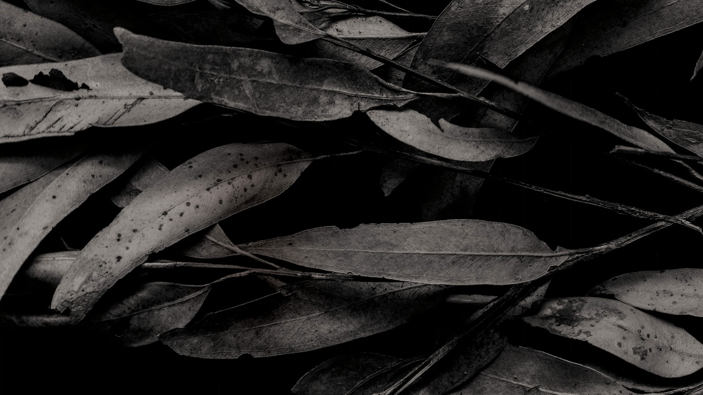 second image